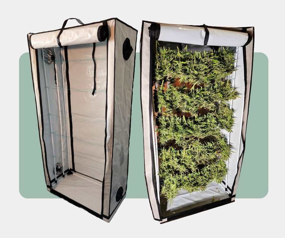 The image shows a vertical drying tent used for plants, displayed in two perspectives:  Left Side: The tent is open, revealing multiple empty mesh shelves inside. The interior is reflective, designed to maximize drying efficiency. There are ventilation ports visible on the sides of the tent.  Right Side: The tent is open and fully loaded with rows of plants drying on the shelves. The plants are evenly spaced and appear to be well-supported by the mesh, highlighting the tent's capacity for organized drying. 